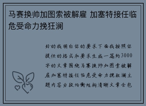 马赛换帅加图索被解雇 加塞特接任临危受命力挽狂澜